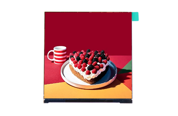 工業(yè)觸摸屏 工業(yè)觸摸屏