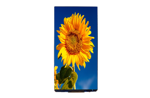 LCD液晶顯示屏 LCD液晶顯示屏