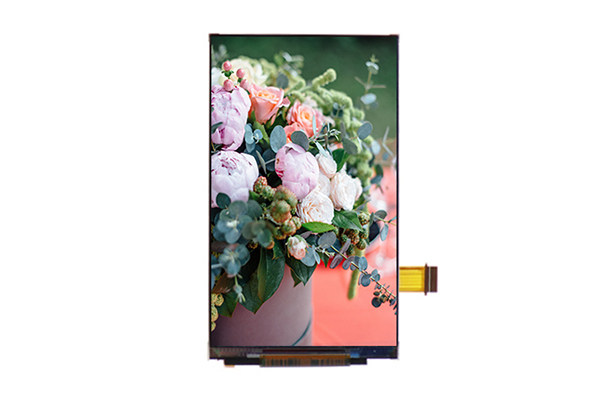 小尺寸，大視界——4.3寸480×800 TFT液晶屏的多領(lǐng)域創(chuàng)新應(yīng)用