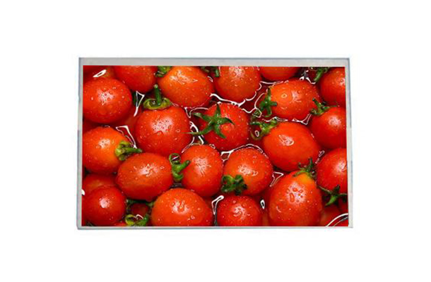 7英寸TFT液晶屏市場中的發(fā)展歷程、技術(shù)優(yōu)勢、應(yīng)用領(lǐng)域及未來展望