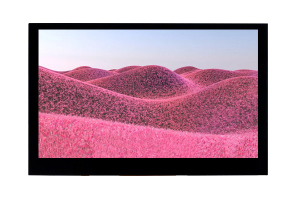 小身材如何擁有大智慧？揭秘4.5寸LCD顯示屏的獨(dú)特魅力